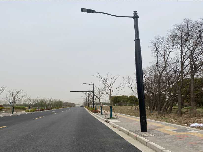 旺苍县上海综合杆 太阳能路灯工程